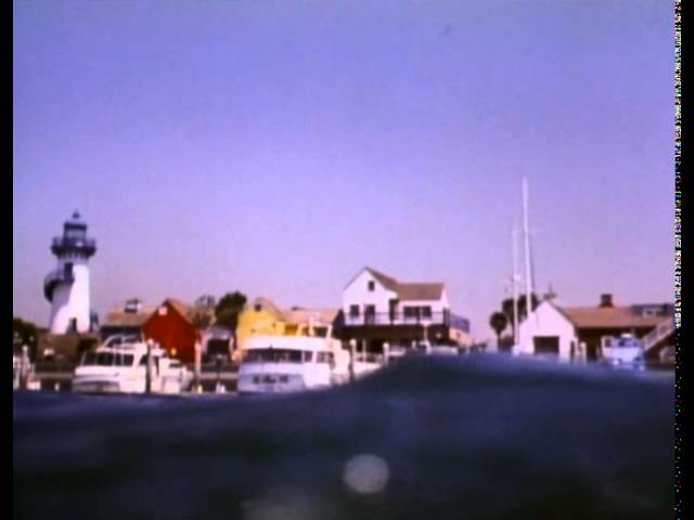 Відео до фільму Щелепи 4: Помста | Trailer