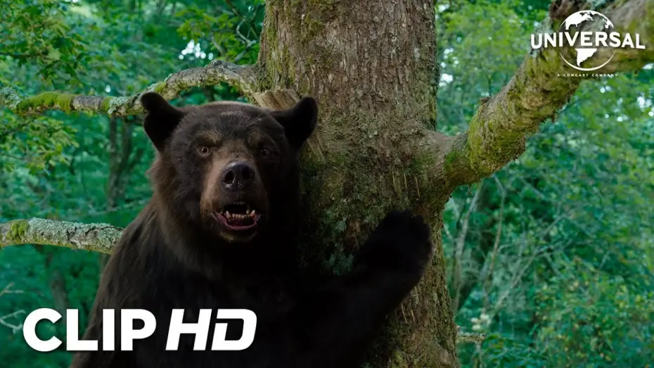 Відео до фільму Ведмідь під кайфом — Clip - Peter se olvida de que los osos saben trepar árboles