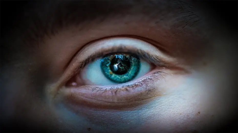 Відео до фільму my days with you | ימיי איתך