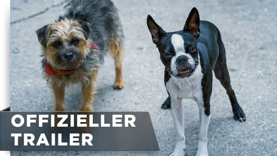 Відео до фільму Кудлаті перці — Offizieller Trailer #3