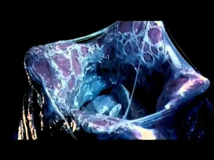 Відео до фільму Чужий проти Хижака — alien vs predator trailer ita