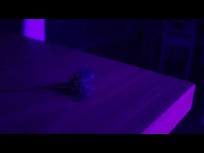 Відео до фільму Centaurea | Centaurea | Teaser &ndash; Film ind&eacute;pendant r&eacute;alis&eacute; au t&eacute;l&eacute;phone
