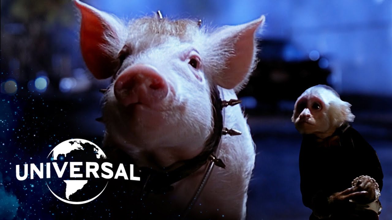 Відео до фільму Бейб: Поросятко у місті | Babe Escapes