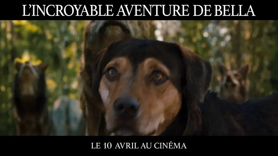 Відео до фільму Шлях додому | L&rsquo;Incroyable Aventure de Bella - TV SPOT "Challenge" VF