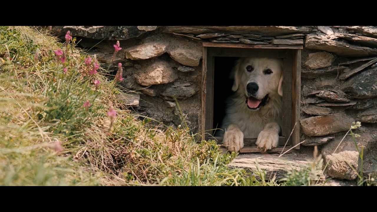 Відео до фільму Belle and Sebastian | Belle and S&eacute;bastien (2013) - Trailer English Subs