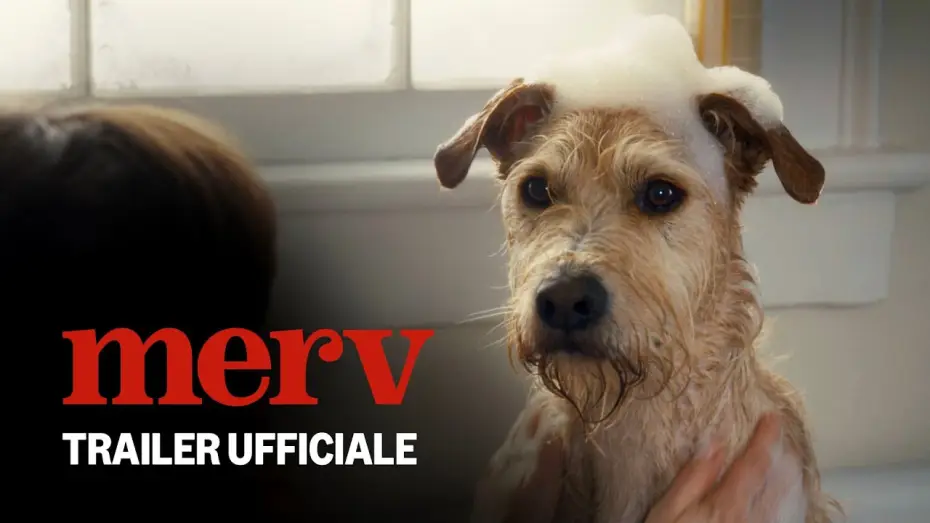 Відео до фільму Мерв | Merv | Trailer Ufficiale | Prime Video