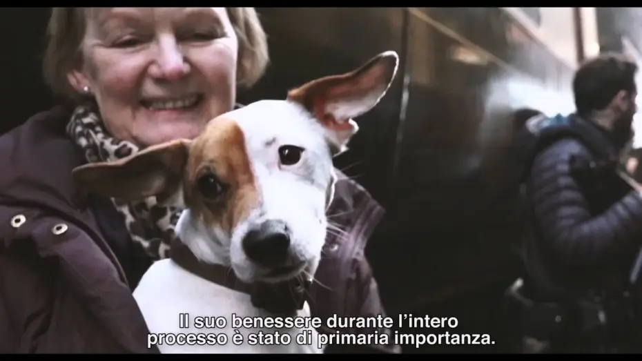 Відео до фільму Дівчина з Данії — THE DANISH GIRL di Tom Hooper - Featurette "Pixie" (sottotitoli in italiano)