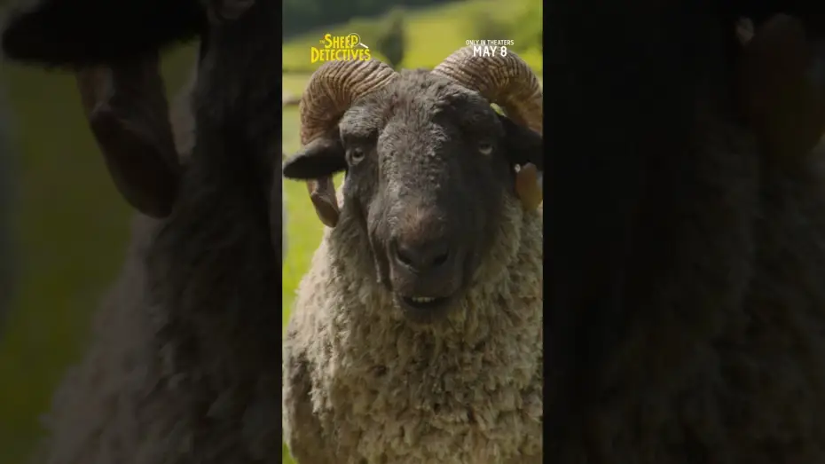 Відео до фільму Вівці-детективи | Sheep TV Spot