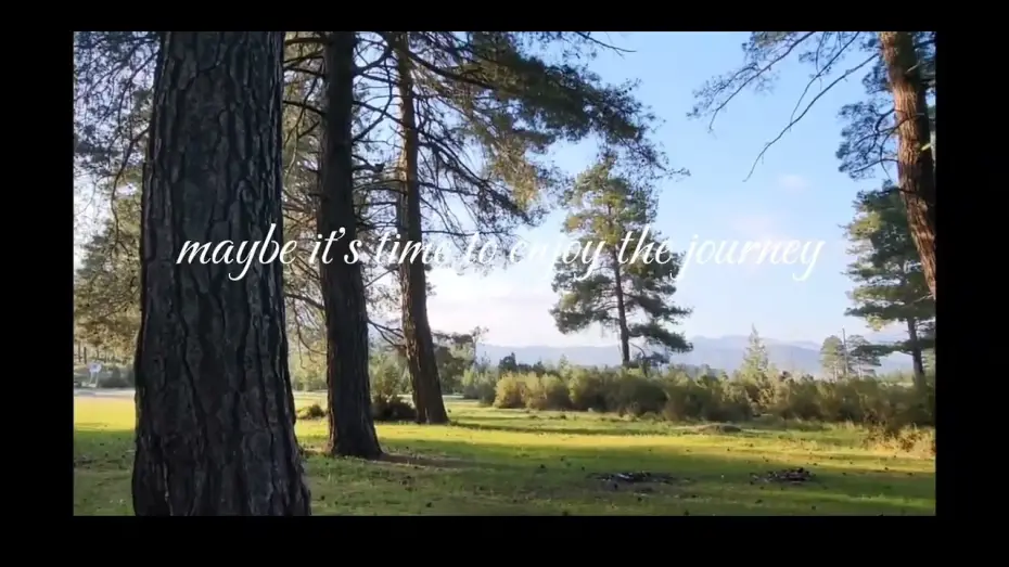 Відео до фільму When I'm Gone | When I'm gone I'd like to be a part of the trees  feeling the breeze while the birds freely singing
