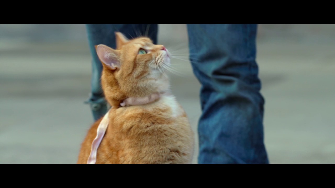 Відео до фільму Вуличний кіт на ім&rsquo;я Боб | A Street Cat Named Bob - Getting the Punters In Clip - At Cinemas Now