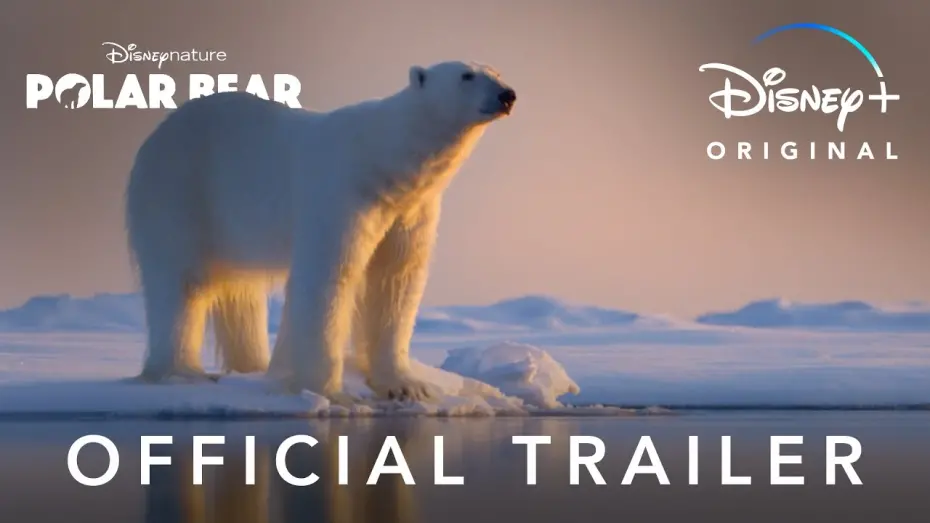 Відео до фільму Polar Bear | Official Trailer