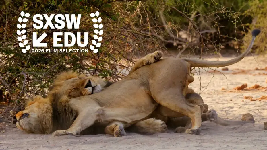 Відео до фільму Second Nature: Gender and Sexuality in the Animal World | Second Nature - Official Trailer