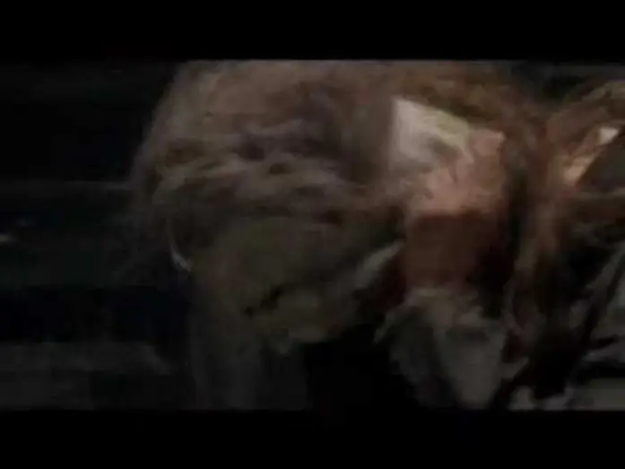 Відео до фільму Хеллоуїн 2007 — Halloween 2007 Trailer German High Qualität