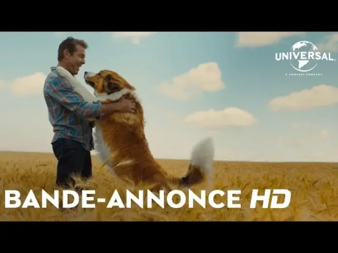 Відео до фільму Подорож хорошого пса | Mes Autres Vies de Chien - Bande Annonce VOST