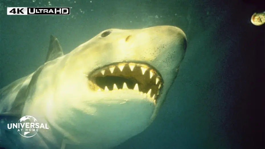 Відео до фільму Щелепи 3 — Shark Strikes When Nobody Expects - Extended Preview