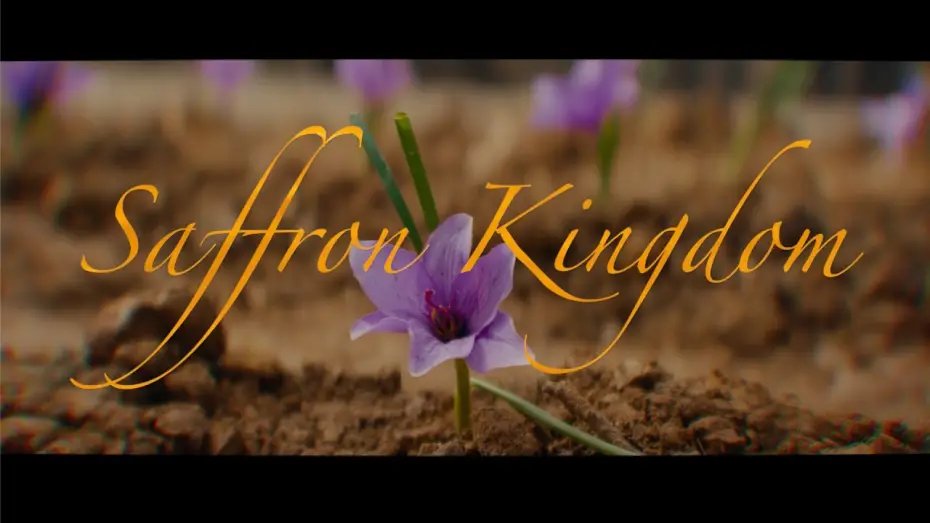 Відео до фільму Saffron Kingdom | Official Trailer 2
