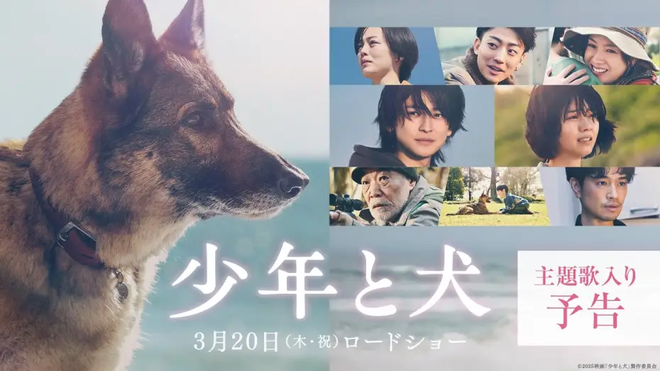 Відео до фільму 少年と犬 | 【主題歌 SEKAI NO OWARI「琥珀」】映画『少年と犬』主題歌入り予告映像【3月20日(木・祝)公開】