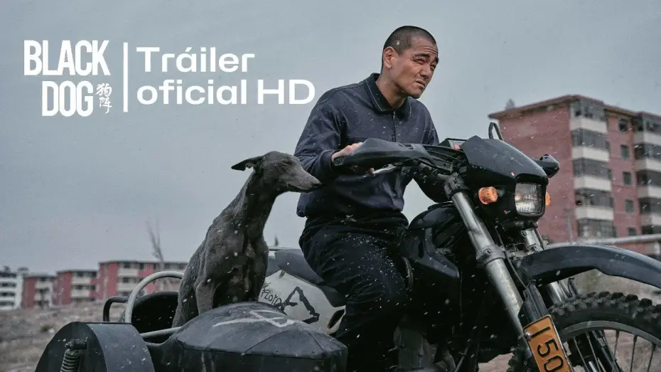 Відео до фільму 狗阵 — BLACK DOG (2024) 🇨🇳 Tráiler oficial español (HD) #trailer #estreno #blackdog #cinechino