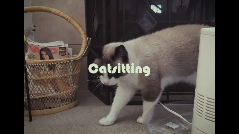 Відео до фільму Catsitting — Catsitting: A Found Footage Horror