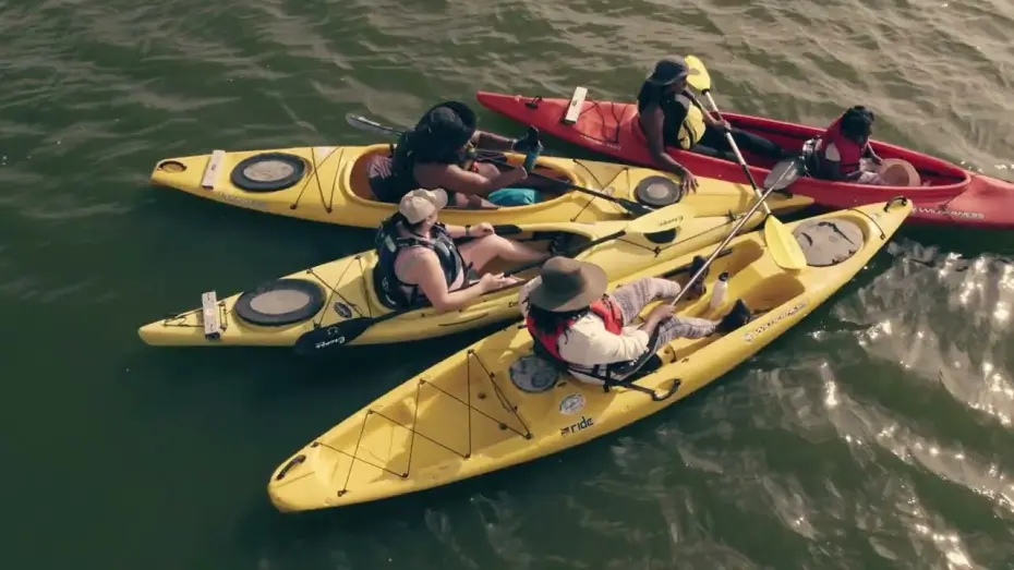 Відео до фільму A Splash of Color | A Splash of Color: Getting Black in the Water (Trailer)