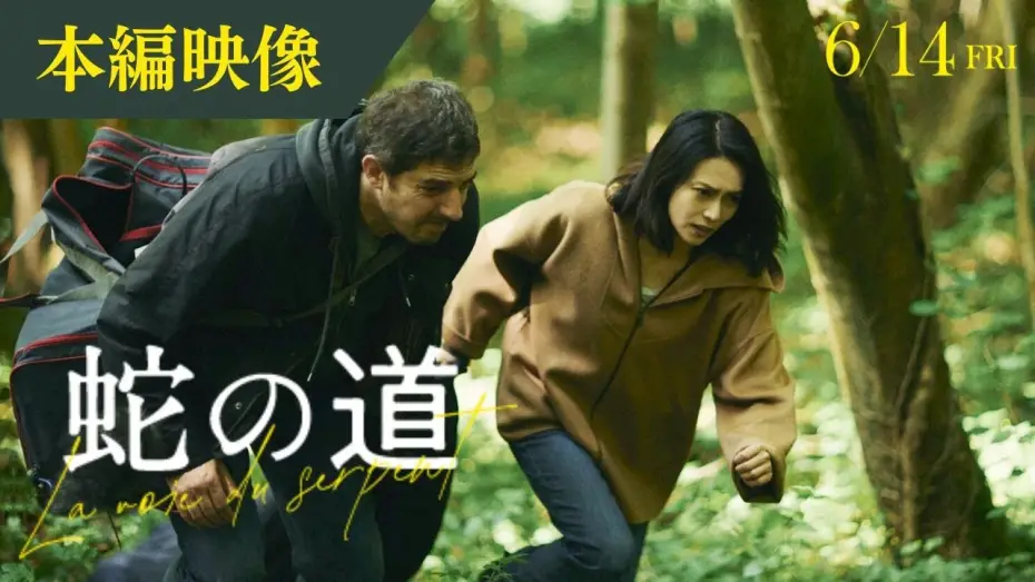 Відео до фільму 蛇の道 — 【本編映像】映画『蛇の道』森の中を駆ける二人【6月14日(金)公開】