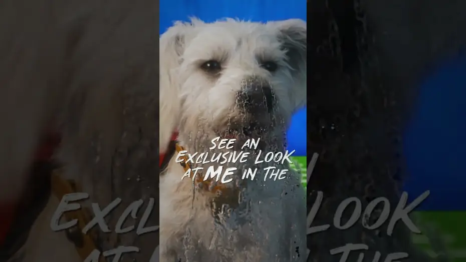 Відео до фільму Суперґьорл — Tomorrow is the big day 🐾 Catch Krypto in Puppy Bowl