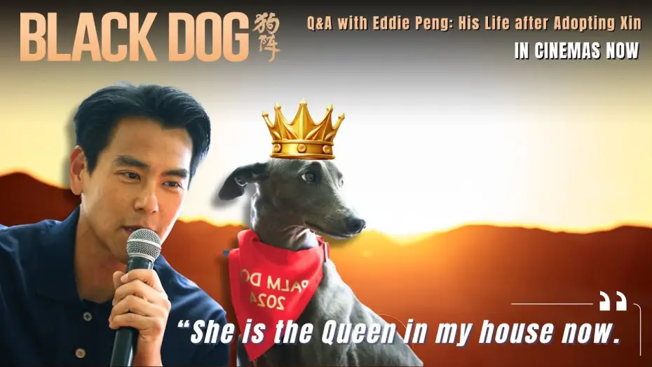 Відео до фільму 狗阵 — Q&A with Eddie Peng: "Xin is the Queen in my house now."