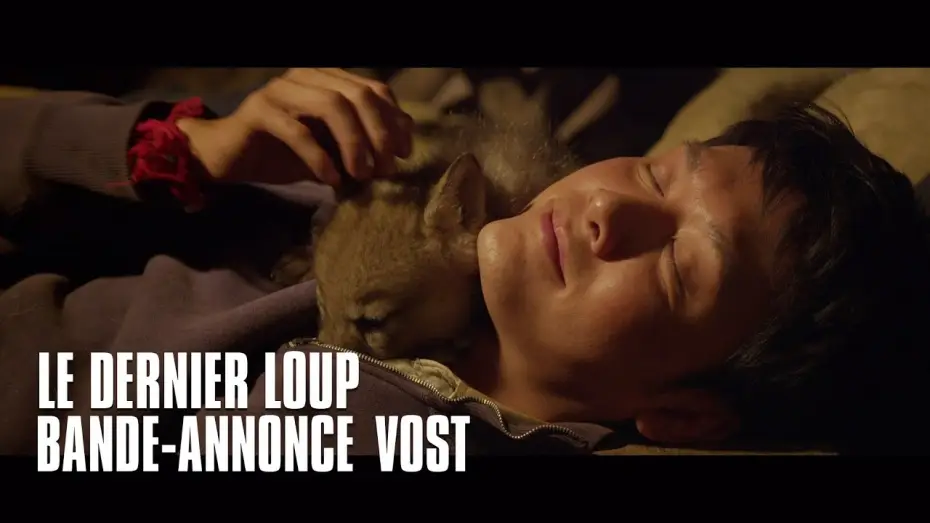 Відео до фільму Тотем вовка | Le dernier loup - bande-annonce VOST