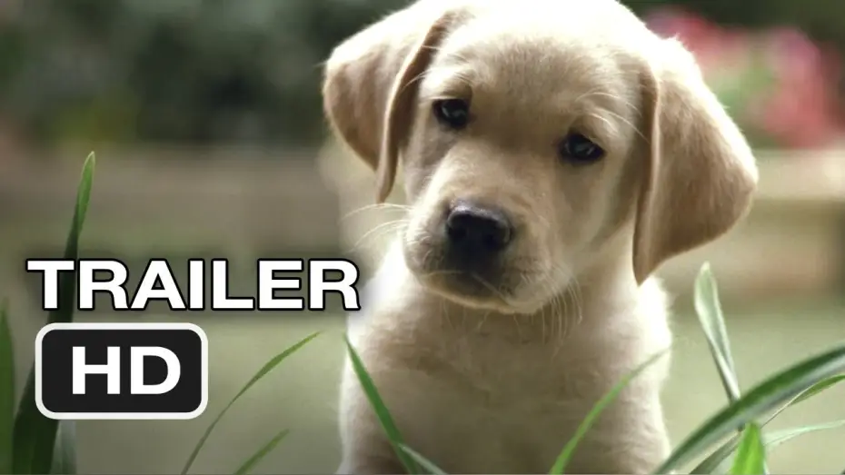 Відео до фільму クイール | Quill The Life of a Guide Dog Official Trailer #1 (2012) HD Movie