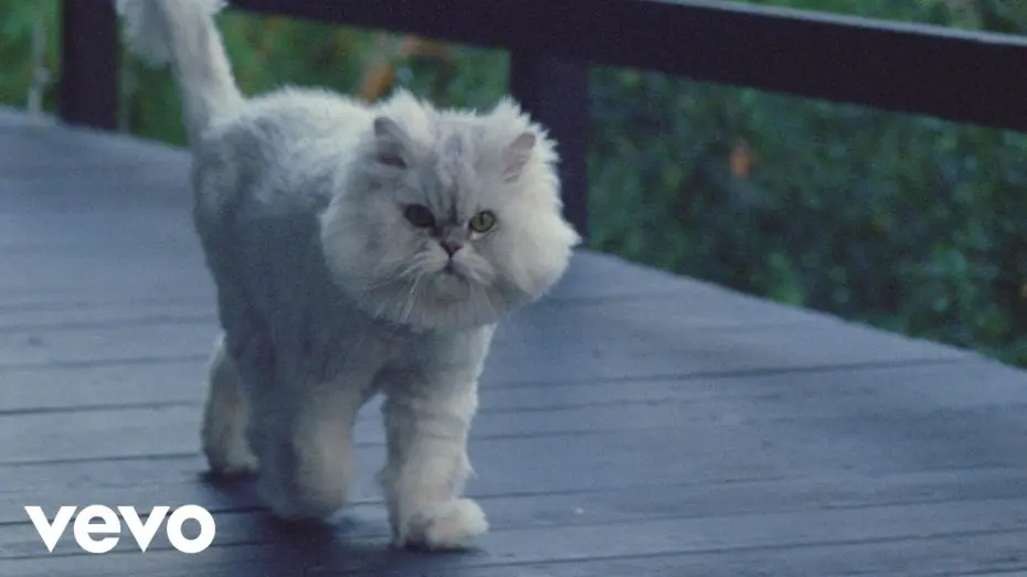 Відео до фільму Permanent Pleasure | Joywave - Permanent Pleasure | A Film by Joywave