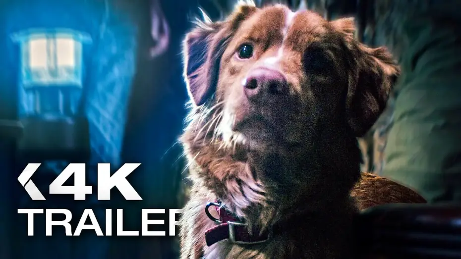 Відео до фільму Хороший хлопчик | GOOD BOY: Trust his instincts Trailer German Deutsch (2025)