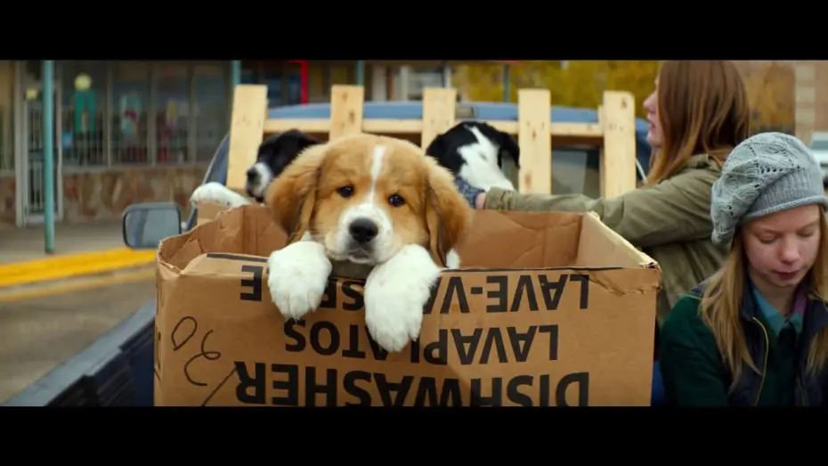 Відео до фільму Життя і мета собаки | BAILEY &ndash; EIN FREUND F&Uuml;RS LEBEN - offizieller Teaser