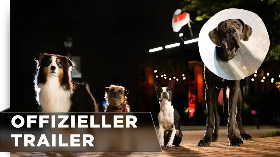 Відео до фільму Кудлаті перці — Offizieller Trailer #2
