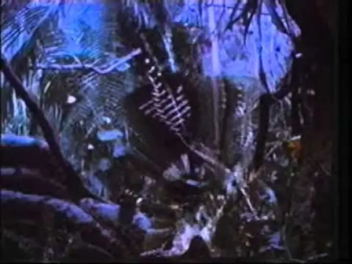 Відео до фільму Хижак | PREDATOR (1987) Con Arnold Schwarzenegger - Trailer Cinematografico