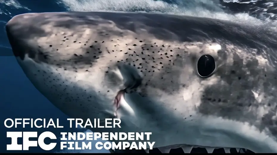 Відео до фільму Приманка — Official Trailer