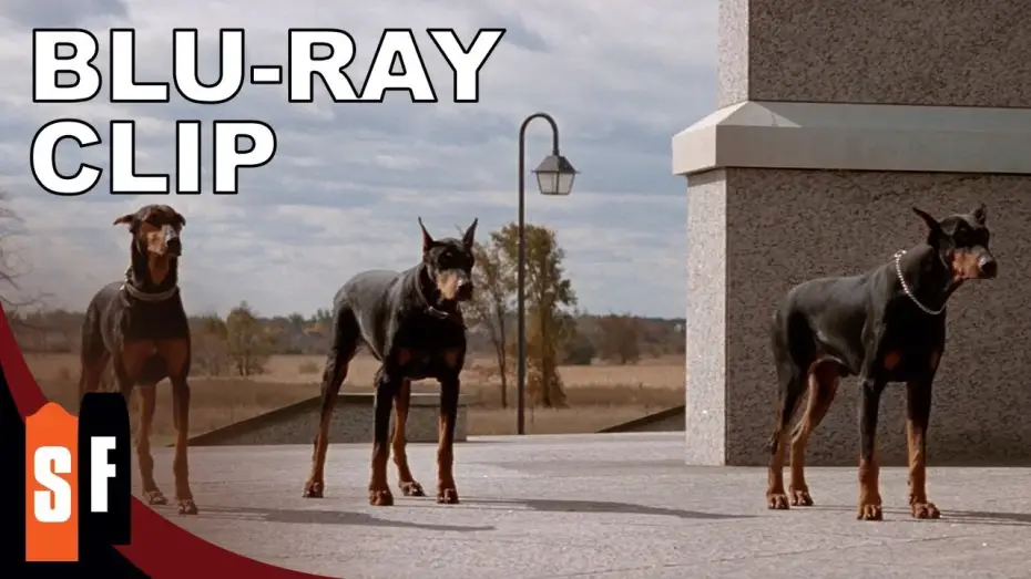 Відео до фільму У пащі божевілля | Release The Hounds