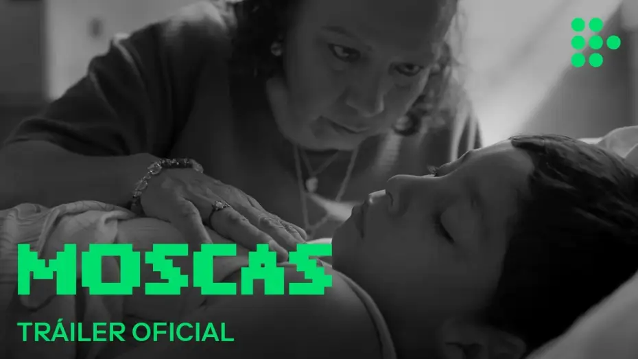 Відео до фільму Moscas — MOSCAS | Tráiler Oficial | En cines julio 2