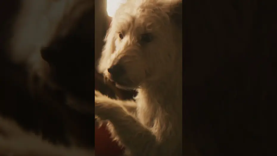 Відео до фільму Суперґьорл — Still the goodest boy in the galaxy.
