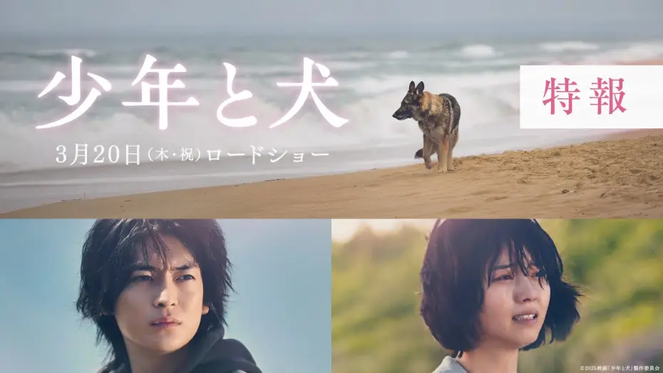 Відео до фільму 少年と犬 | 映画『少年と犬』特報映像【2025年3月20日(木・祝)公開】