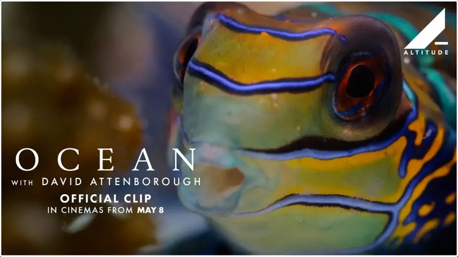 Відео до фільму Ocean with David Attenborough | 'Variety Of Ocean Life' Clip