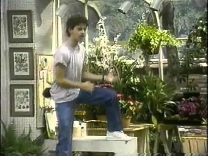Відео до серіалу Growing Pains — Unser lautes Heim - Trailer Pro 7 (1993)
