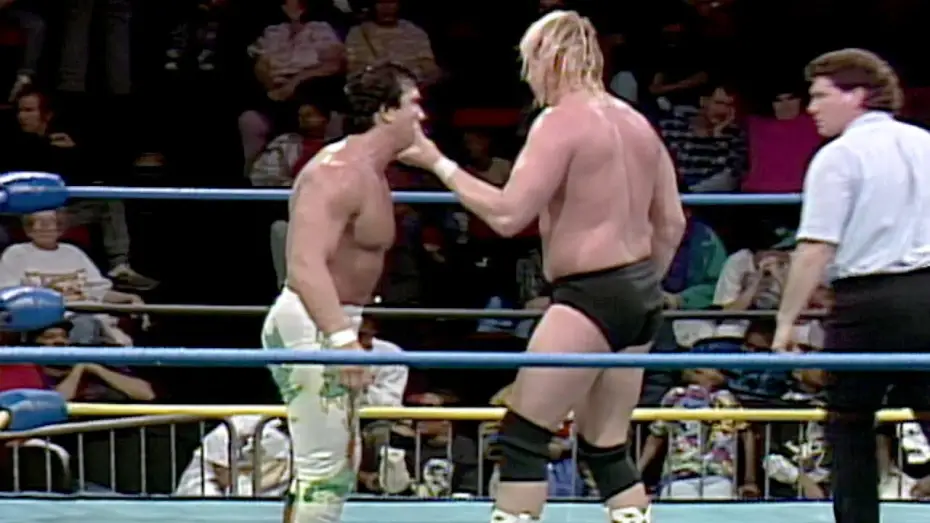 Відео до серіалу WCW Saturday Night — Steamboat vs. Windham turns into a melee: WCW Saturday Night, Jan. 9, 1993