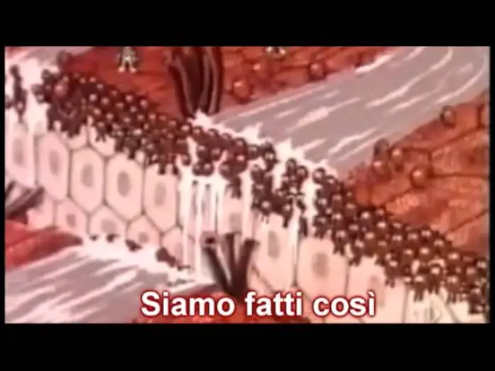 Відео до серіалу Il était une fois… la Vie — siamo fatti così - esplorando il corpo umano - sigla