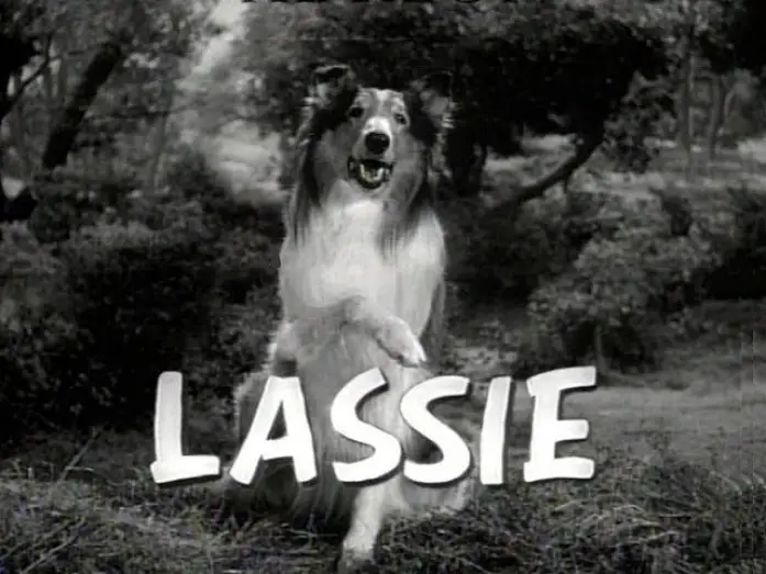 Видео к сериалу Лессі — Lassie  1954 - 1973 Opening and Closing Theme (With the Lone Ranger Snippet)