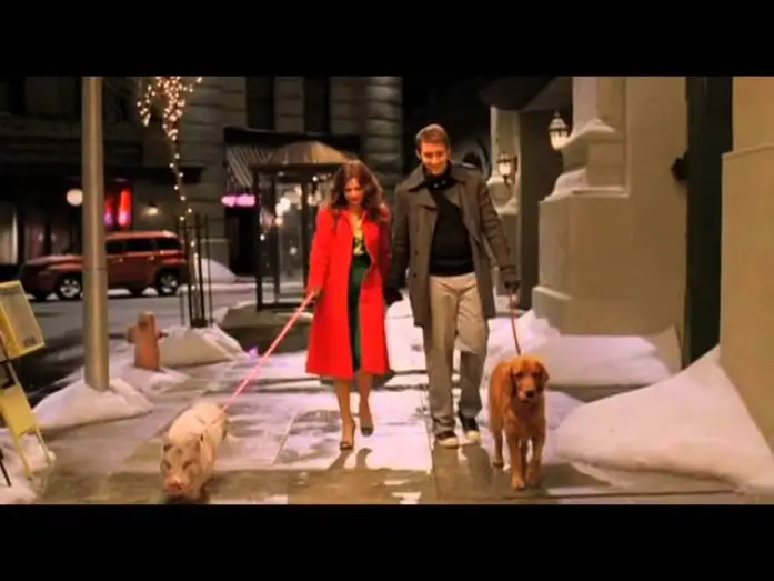 Відео до серіалу Живий за викликом — Pushing Daisies | Ne Me Quitte Pas