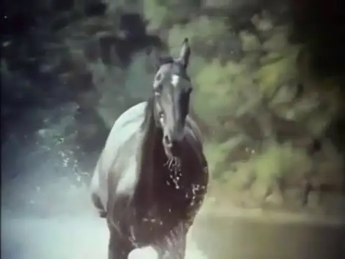 Відео до серіалу Пригоди Б'юті — The Adventures of Black Beauty Opening and Closing Theme 1972 - 1974