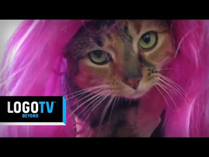 Відео до серіалу Королівські перегони РуПола — RuPaul's Drag Race Season 6 -  The Wait Is Over Kittens! - Logo TV