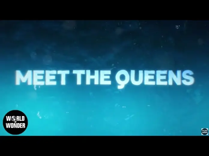 Видео к сериалу Королівські перегони РуПола — Meet the Queens of RuPaul's Drag Race Season 17 👑