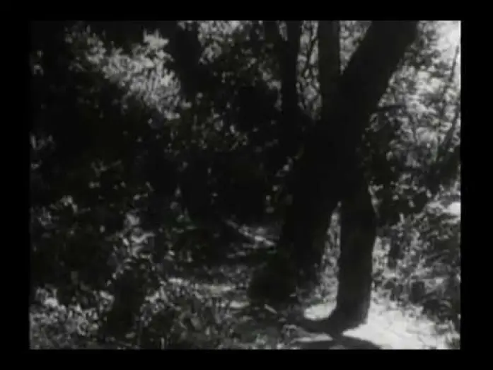 Відео до серіалу Daniel Boone — Original Daniel Boone Opening