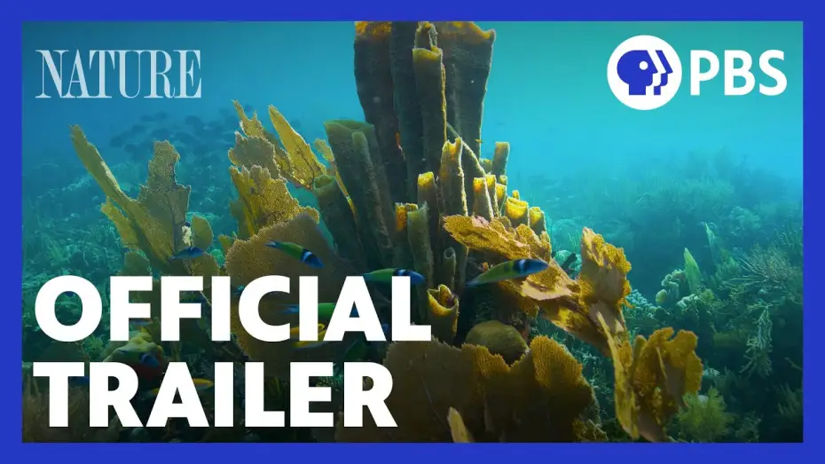 Видео к сериалу Природа — Treasure of the Caribbean | Official Trailer | NATURE | PBS